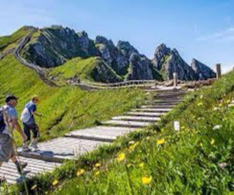 Вілла La Grange De La Gratade Rochefort-Montagne Екстер'єр фото