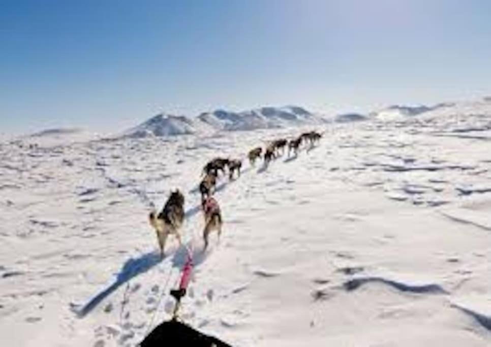 Вілла La Grange De La Gratade Rochefort-Montagne Екстер'єр фото